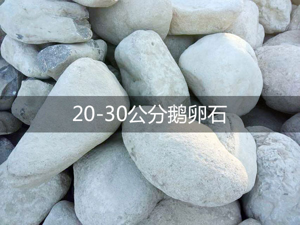 20-30公分鹅卵石